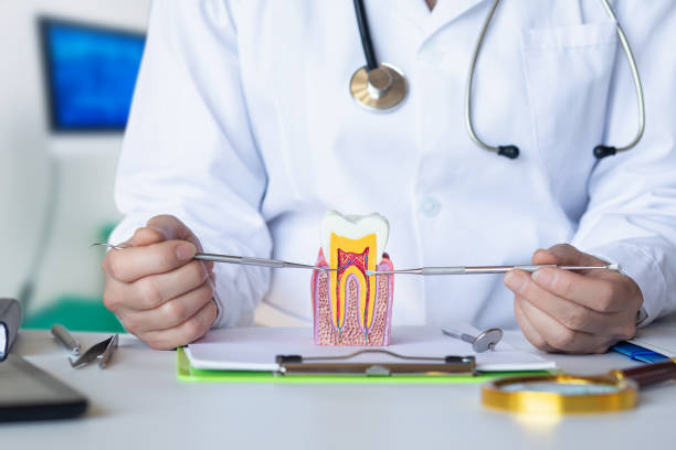 Best Emergency Root Canal Therapy in Springville, VA